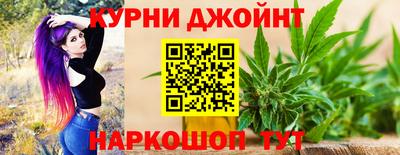 крисы Будённовск
